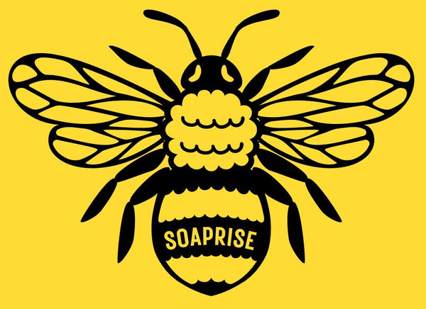 soaprisesouvenirsabordo